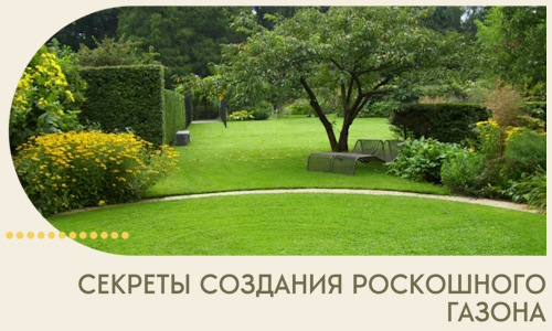 Секреты создания роскошного газона в Холмске