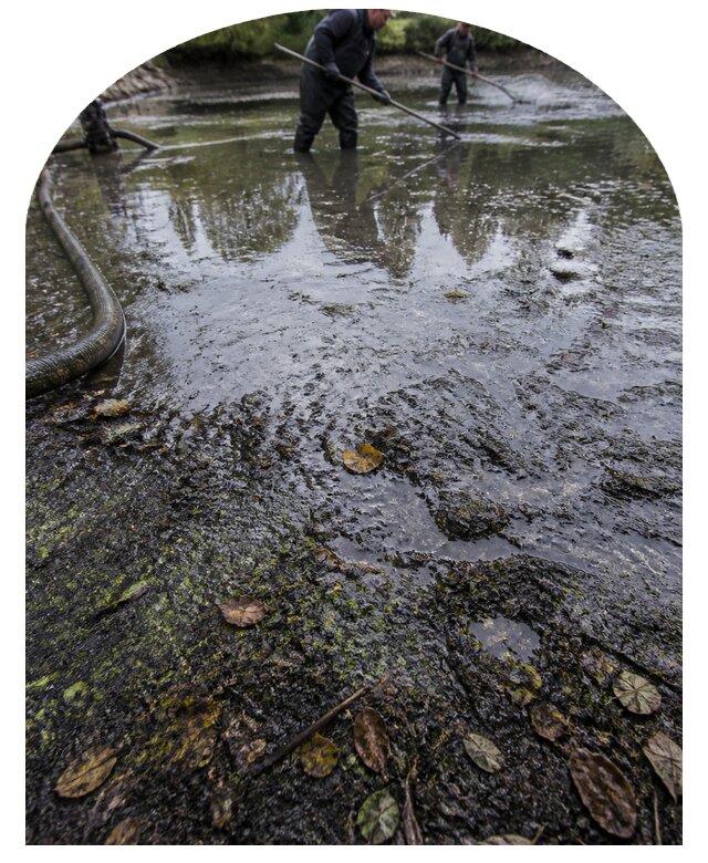Очистка пруда в Холмске от ила мусора и водорослей с вывозом